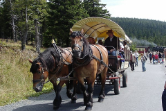 brocken-harz-024
